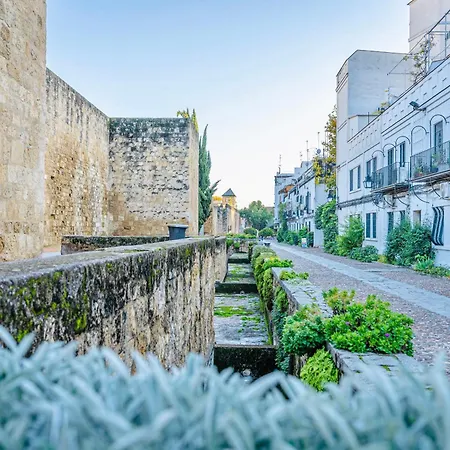 Apartment Medina-azahara *